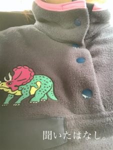 VOTE MAKE NEW CLOTHESのフリースの恐竜