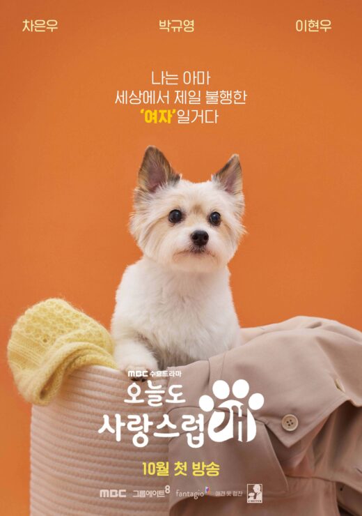 韓国ドラマワンダフルデイズ　犬種